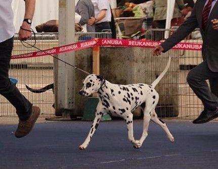 Des pierres du gaudy - Championnat de France 2016